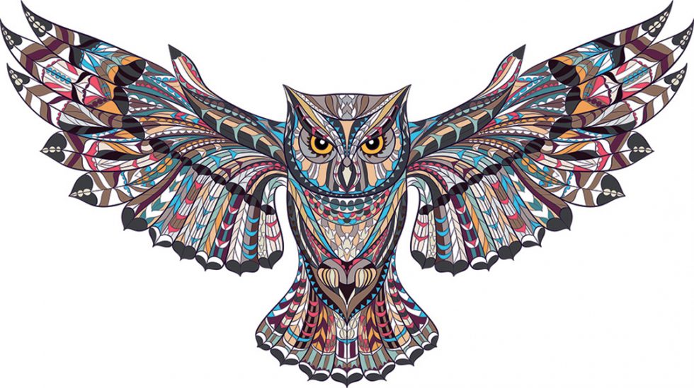 Kimama---ANIMAL---Owl